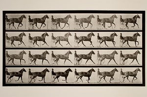 Eadweard J. Muybridge , Trotting; sulky; breaking to gallop; sorrel mare, Flode Holden, ca. 1884 - 1887. George Eastman House