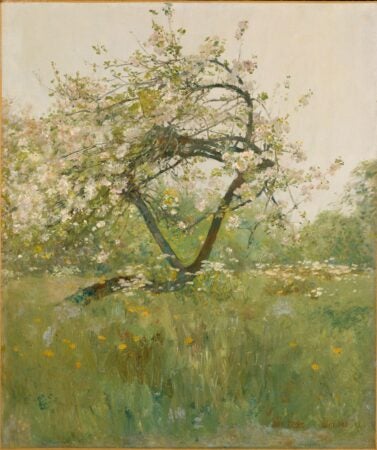 A serene painting of a blooming tree, likely a peach tree, standing gracefully in a lush, sunlit meadow. The delicate pink and white blossoms contrast with the vibrant green of the grass and surrounding foliage. Yellow wildflowers dot the meadow, adding splashes of warmth. The soft, impressionistic brushstrokes create a dreamy, tranquil atmosphere, capturing the beauty and renewal of spring. The background fades gently into a hazy sky, emphasizing the peaceful rural setting.