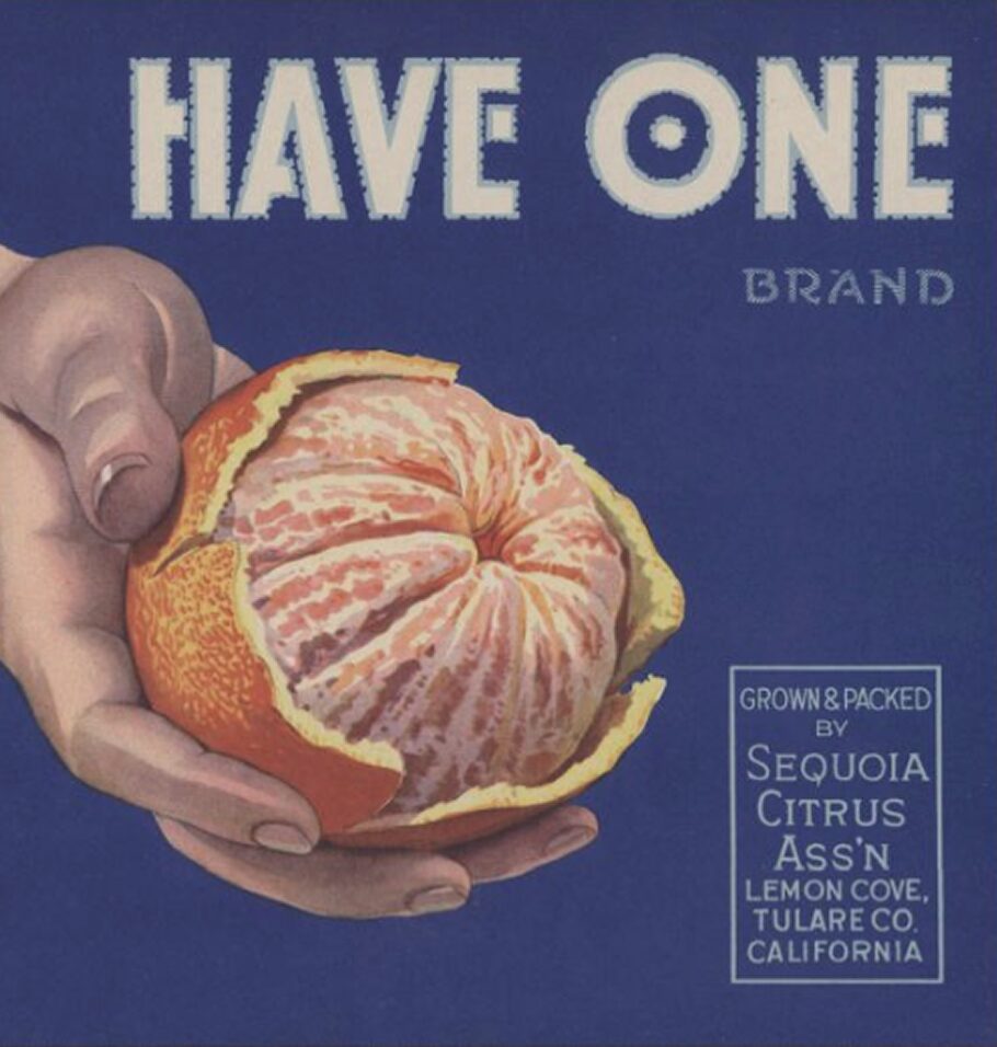 Vintage fruit crate label reading “Have One Brand,” featuring an illustration of peeled citrus fruit held in two hands.
