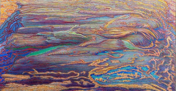 Exploring what’s next: Your transition from Forum to JSTOR Digital Stewardship Services