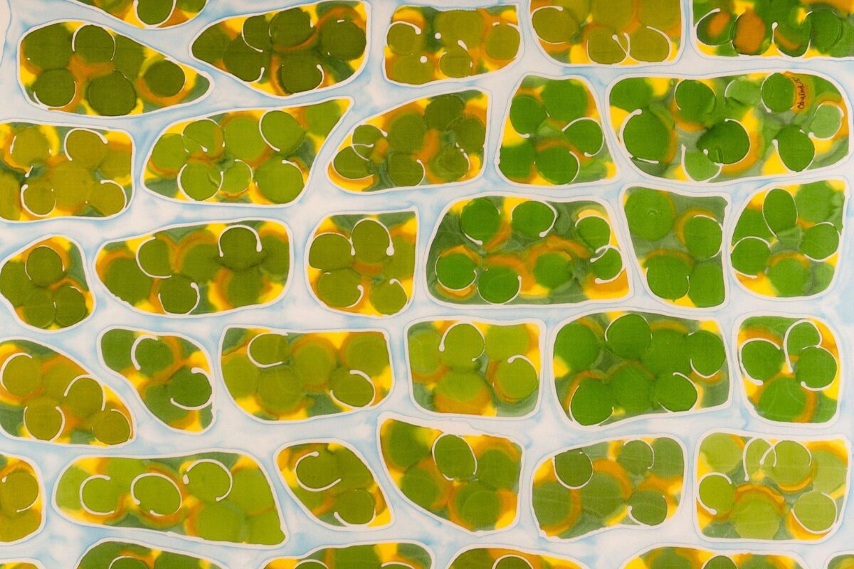 A colorful abstract pattern resembling clustered green and yellow cells outlined in white against a pale blue background.