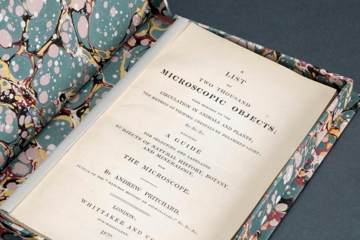 Primary sources on JSTOR